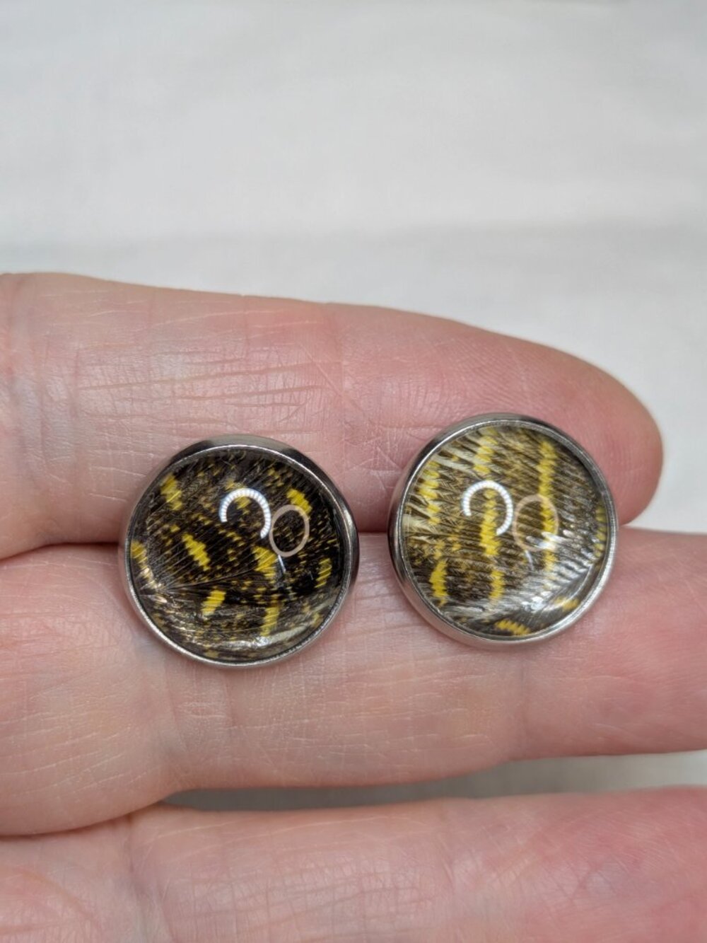 Real Butterfly Wing Cabochon Earrings – Silvertone Studs